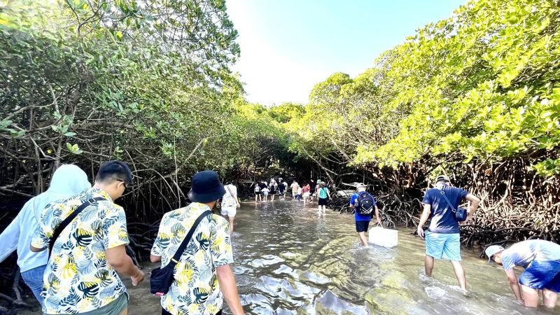 Tai & Bay Canh Island Hopping Speedboat Tour - The Turtle Incubation Visit, With a Seasonal Extra