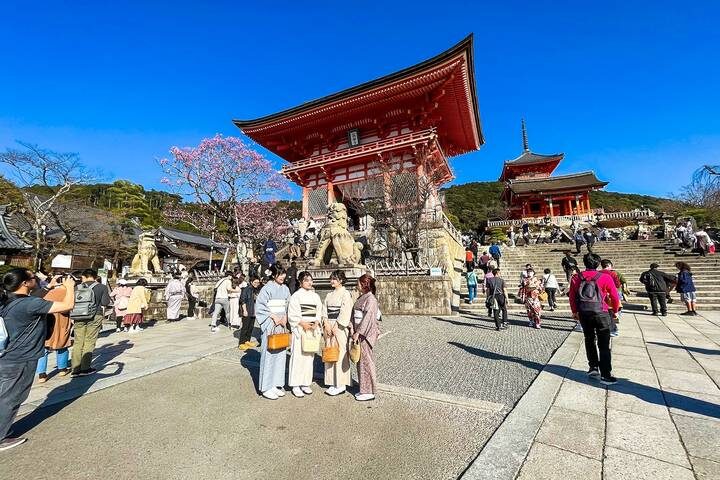 Tailor-Made 10-Day Private Japan Family Tour by Agate Travel - Tokyo to Osaka - Tokyo’s shrines, palace grounds, and river