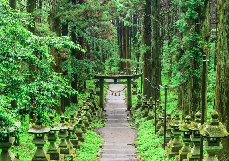 Takachiho Gorge & Kamishikimi Kumanoza Shrine Full-Day Secret Valley Tour - Takachiho Gorge: give the scenery time