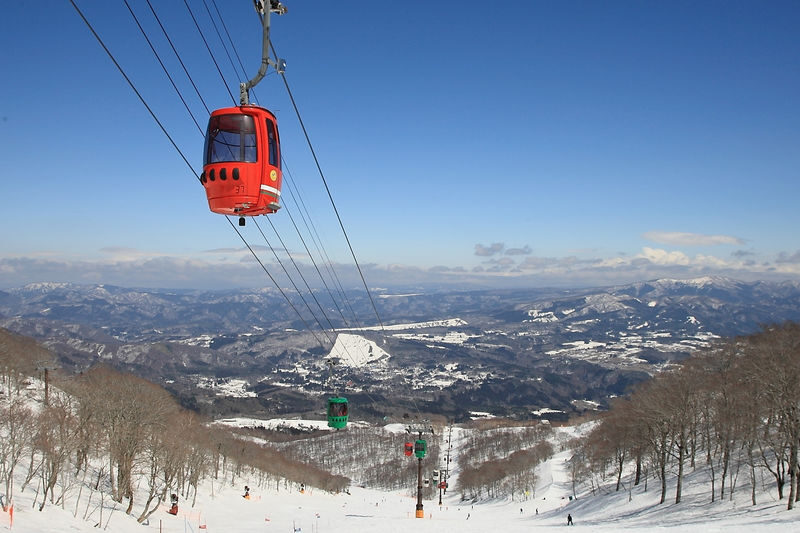 Takasu Snow Park 1DAY Tour from Nagoya - Six hours to make the mountain yours