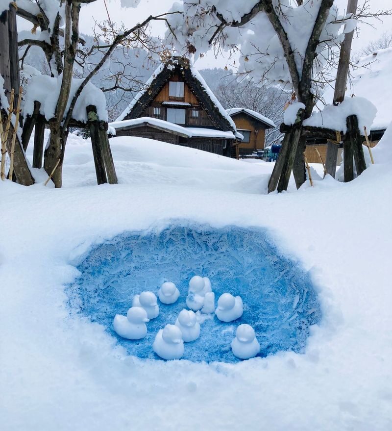 Takayama & Fairytale Shirakawa-go World Heritage DayTour from Nagoya - Start at Takayama’s old streets