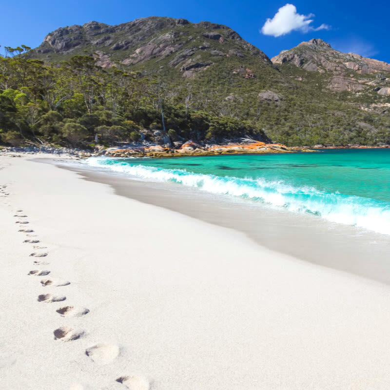Tasmania Hobart Wineglass Bay Day Tour (Chinese Guided) - Swansea: a pause before Freycinet