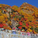Tateyama Kurobe Alpine Route Full-Day Discovery - What the transport changes mean for you