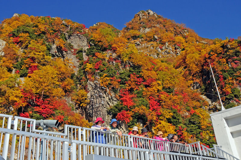 Tateyama Kurobe Alpine Route Full-Day Discovery - What the transport changes mean for you