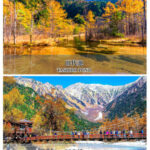 Tateyama Kurobe Autumn Viewing + Kamikochi Hiking Two-Day Tour: Experience 6 Major Alpine Transportation Methods (Departing from Nagoya) - Evening in Hakuba: dinner and a practical overnight