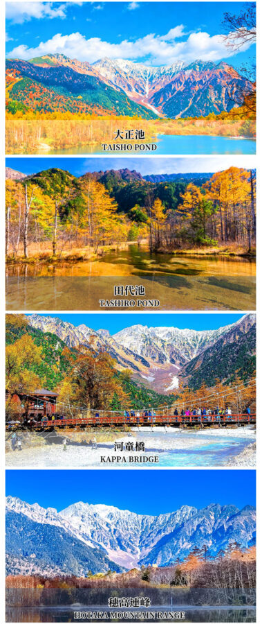 Tateyama Kurobe Autumn Viewing + Kamikochi Hiking Two-Day Tour: Experience 6 Major Alpine Transportation Methods (Departing from Nagoya) - Evening in Hakuba: dinner and a practical overnight