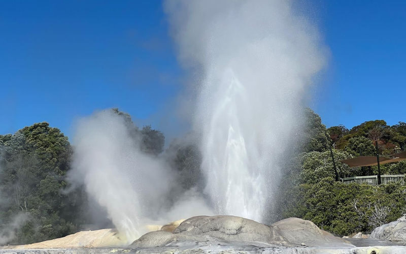 Te Puia, Haka and Polynesian Spa Rotorua Small Group Tour - Te Puia: the main attraction on the Rotorua itinerary