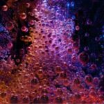 teamLab Biovortex Kyoto ticket - From shifting installations to active play