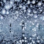 teamLab Borderless Tickets: MORI Building DIGITAL ART MUSEUM - Three works worth making time for