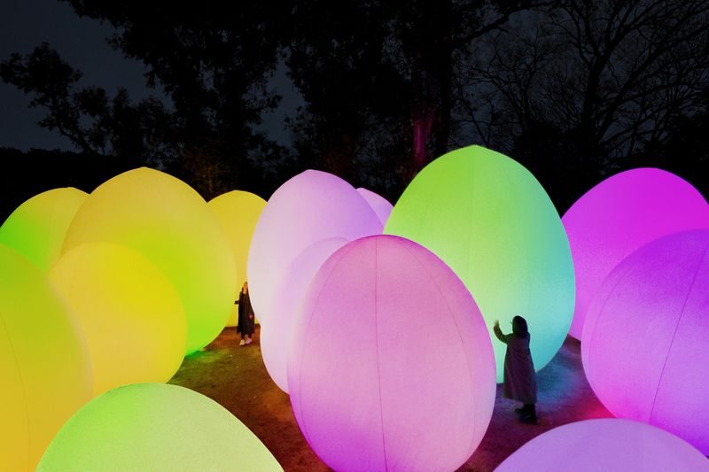 teamLab Botanical Garden Osaka Ticket - The glowing trees and the first stretch