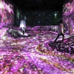teamLab Forest Fukuoka Ticket - Expect an engaging visit, not a huge museum