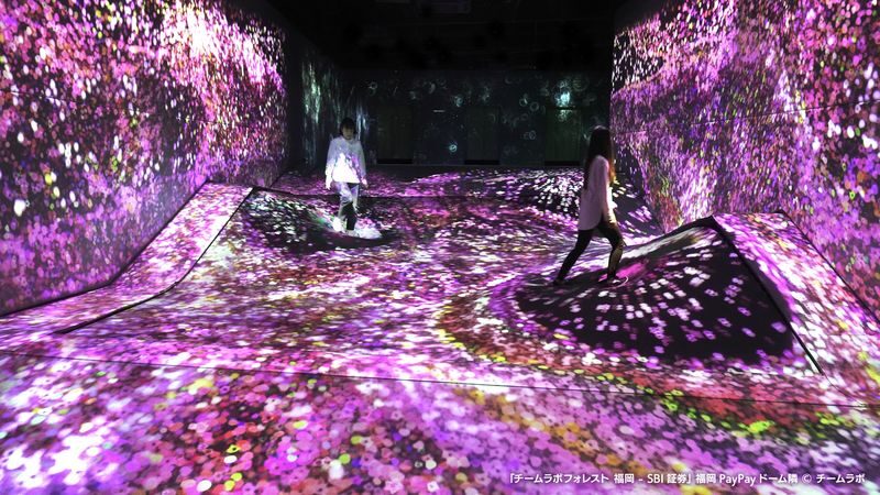 teamLab Forest Fukuoka Ticket - Expect an engaging visit, not a huge museum