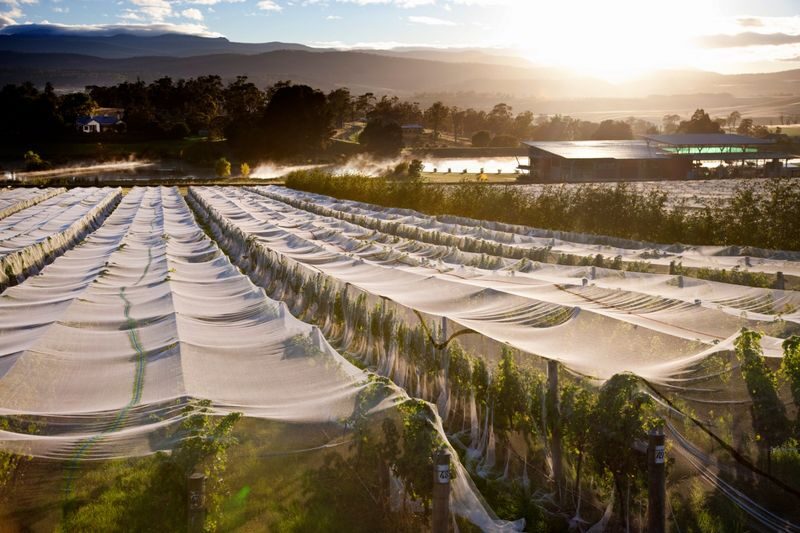 The Art of Sparkling at Josef Chromy Winery in Tasmania - Testing the dosage and building your own bottle