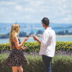 The Essence of Waiheke Wine Tour - A scenic drive that adds island context