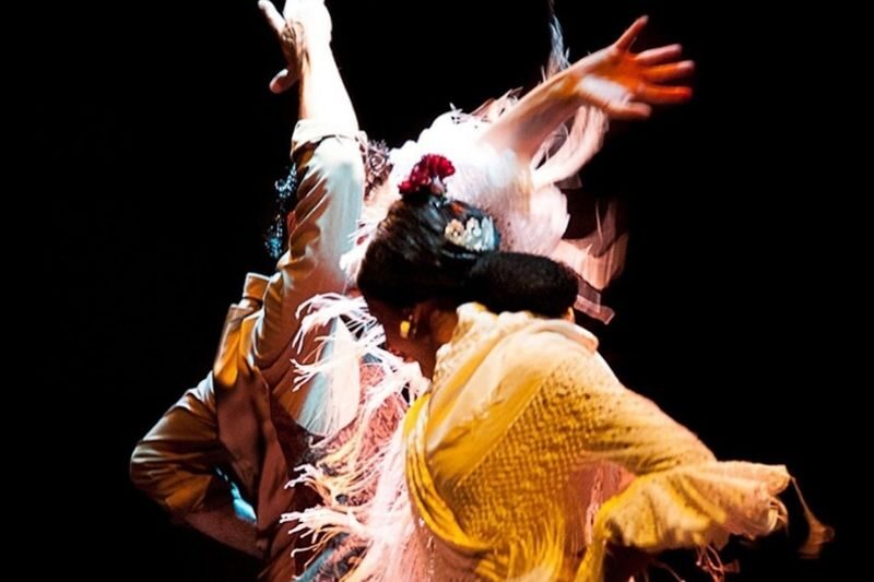 The Flamenco Show with optional Dance Museum Admission in Seville - Visit the museum before the curtain