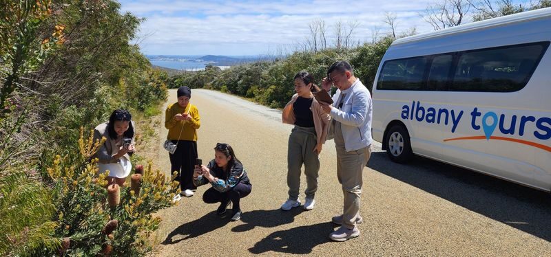 The Gap and Natural Wonders Tour in Albany - From York Street to Stoney Hill