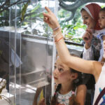 The Green Planet Ticket in Dubai - Start high at the Canopy