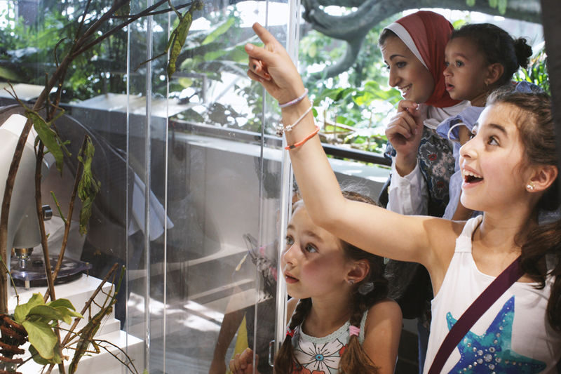 The Green Planet Ticket in Dubai - Start high at the Canopy