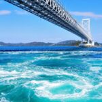 Tokushima Private Car Charter Day Tour: Otsuka Museum of Art / Naruto Whirlpools / Iya Kazurabashi Vine Bridge (Customize Your Itinerary) - Naruto Park and the whirlpools: plan for a focused visit