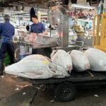 Tokyo Adachi Fish Market Half-Day Small Group Walking Tour - What the 1.5-Hour Visit Can Offer