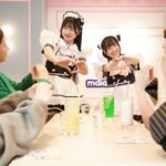 Tokyo Akihabara, Anime, Manga, Video Games & Maid Cafe Tour - Super Potato and Akiba’s other specialties