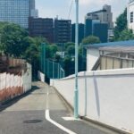 Tokyo Anime Pilgrimage 2-Hour Private Tour - What the two-hour walk is like