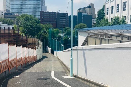 Tokyo Anime Pilgrimage 2-Hour Private Tour - What the two-hour walk is like