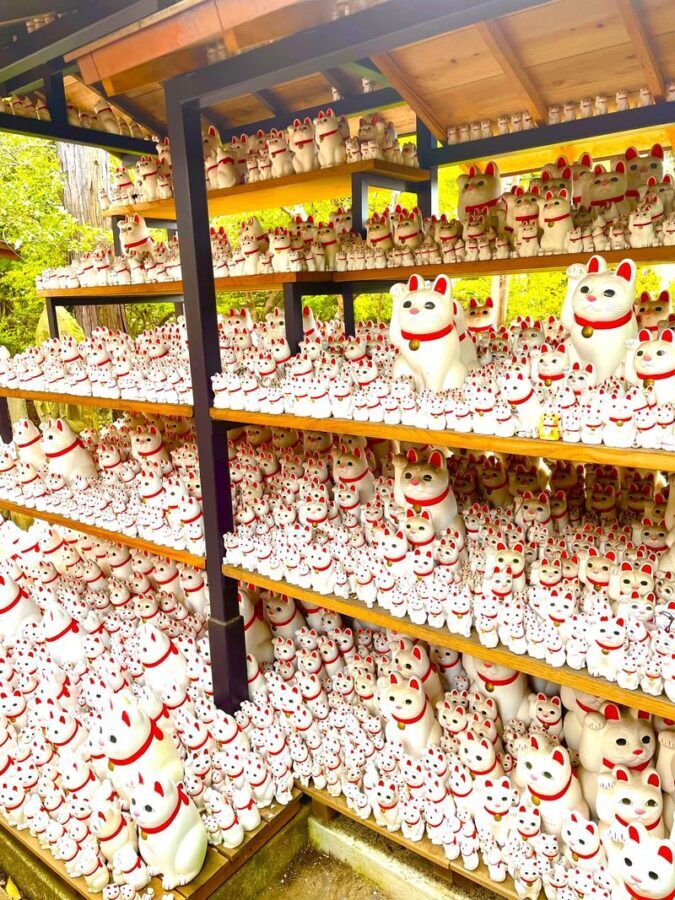 Tokyo Cat Cafe & Gotokuji Temple Half-Day Tour - Start beneath Shinjuku’s giant 3D cat