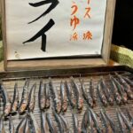 Tokyo City Full-Day Private Customizable Tour - What a private format changes