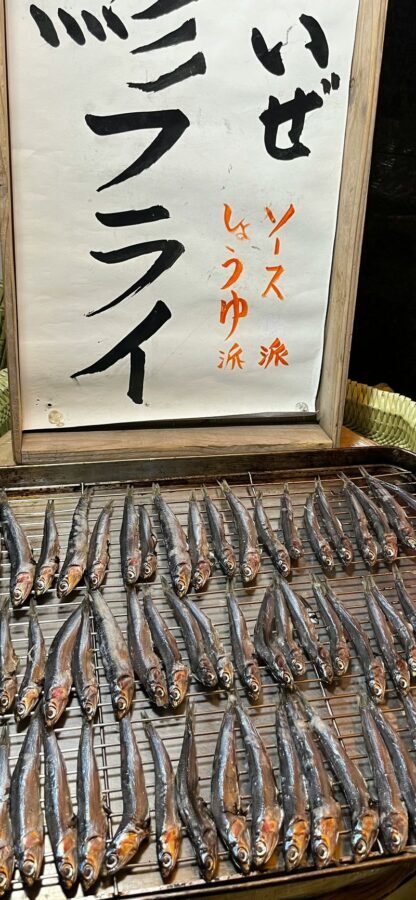 Tokyo City Full-Day Private Customizable Tour - What a private format changes