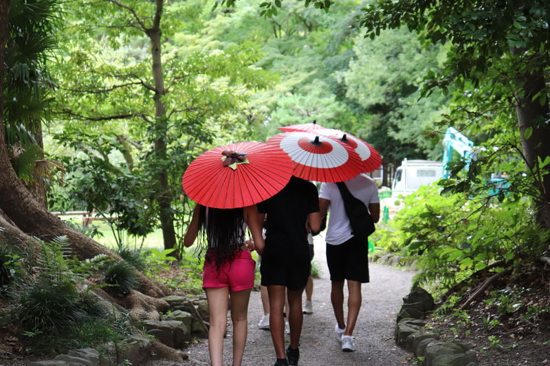 Tokyo City Highlights Half-Day E-Bike Tour with Guide - Ginza is named, but the route is not
