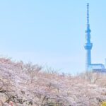 Tokyo City, Private and Customized City Exploration Walking Day Tour - Tokyo Skytree: a view with an extra cost