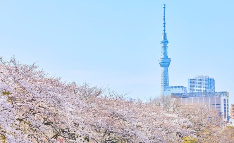 Tokyo City, Private and Customized City Exploration Walking Day Tour - Tokyo Skytree: a view with an extra cost