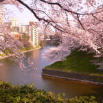Tokyo City, Private Customized Day Trip with English-speaking Driver - Senso-ji and Tokyo Skytree: old Tokyo, then a high-rise view