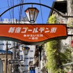 Tokyo City, Shinjuku & Shibuya One Day City Exploration Walking Tour - Starting at Yotsuya-Sanchome Station