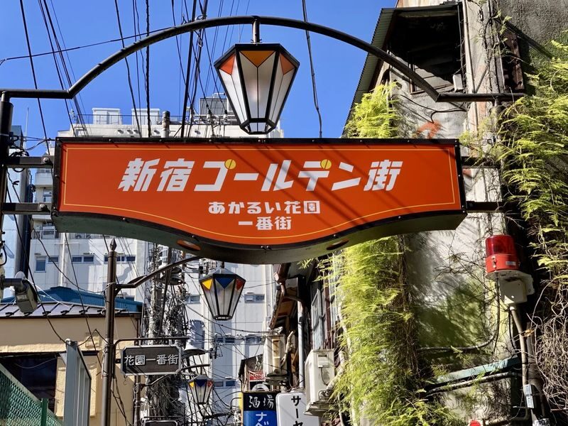 Tokyo City, Shinjuku & Shibuya One Day City Exploration Walking Tour - Starting at Yotsuya-Sanchome Station
