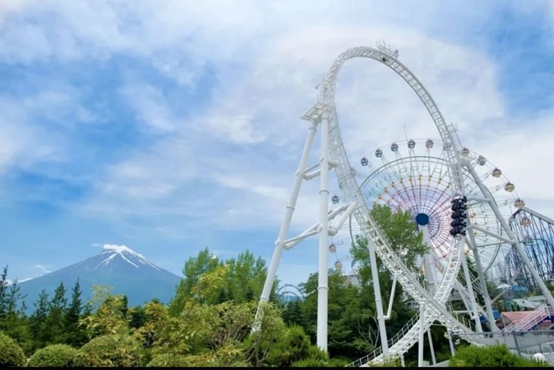 Tokyo Fuji-Q Highland Full-Day Private Tour with Transfers - Leaving Tokyo: make the timing work for you