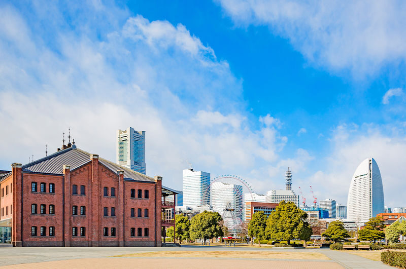 Tokyo Full-Day Enoshima, Kamakura & Yokohama Sightseeing Tour - Enoshima: island views and an optional idea