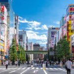 Tokyo Full-Day Private Car Tour with Customizable Itinerary - What the Imperial Palace detail does, and does not, tell you