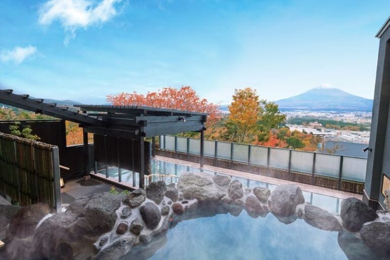 Tokyo Gotemba Premium Outlets and Mount Fuji Hot Spring Private Day Tour - The drive from Tokyo sets the day’s pace