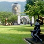 Tokyo Hakone & Gotemba Premium Outlets Full-Day Private Tour - Lake Ashi: a scenic pause with a choice to make