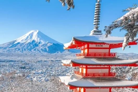 Tokyo Hikawa Clock Shop & Mt. Fuji Full-Day Private Tour - Fuji views depend on timing and weather