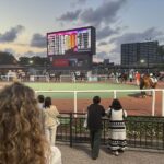 Tokyo Horse Racing Experience with Local Fan - Learning how to place a bet
