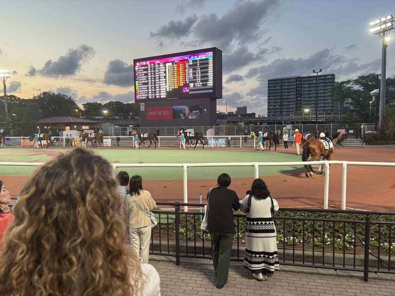 Tokyo Horse Racing Experience with Local Fan - Learning how to place a bet