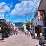 Tokyo Karuizawa Romantic Small Group Day Tour - What the full-day format means for you