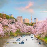 Tokyo, Kyoto, Alps and Fuji (including Jigokudani Valley) by Europamundo - 8-Day Tour - Kyoto by bullet train