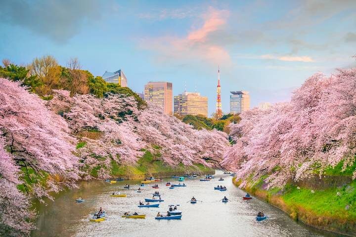 Tokyo, Kyoto, Alps and Fuji (including Jigokudani Valley) by Europamundo - 8-Day Tour - Kyoto by bullet train
