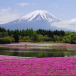 Tokyo, Kyoto, Alps and Fuji (including Yamanouchi) 8-Day Tour by Europamundo - Kyoto by bullet train, with a packed temple day