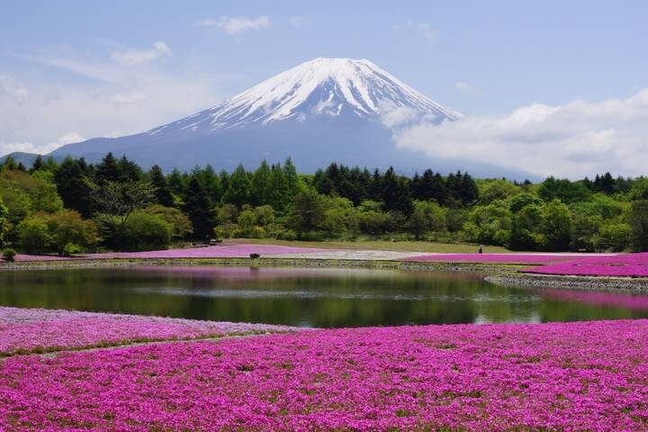 Tokyo, Kyoto, Alps and Fuji (including Yamanouchi) 8-Day Tour by Europamundo - Kyoto by bullet train, with a packed temple day