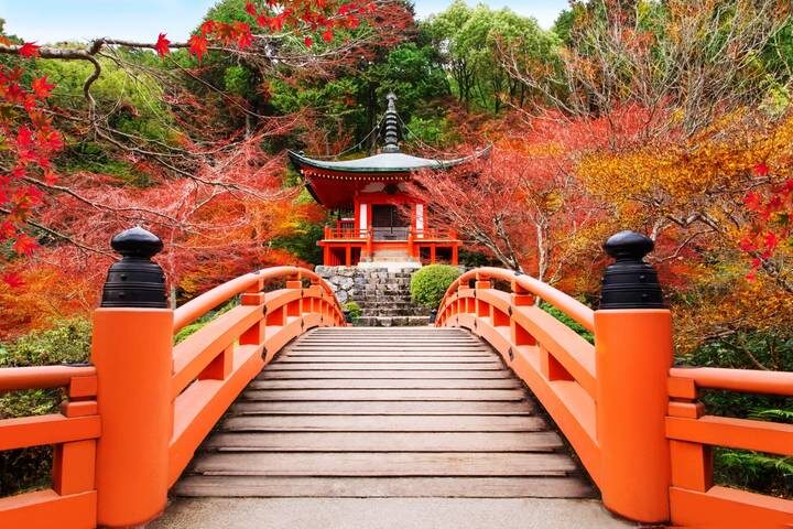 Tokyo, Kyoto and Hiroshima 7-Day Tour by Europamundo - Bullet train to Kyoto and a day of famous shrines